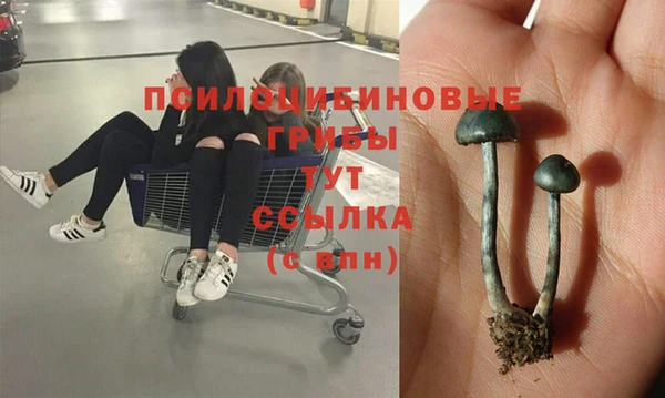мет Абдулино