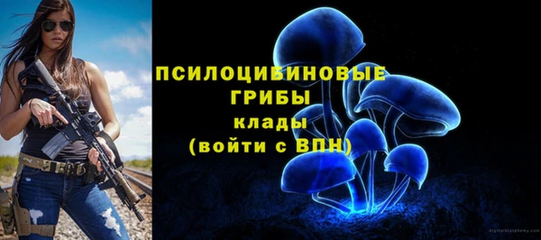 гидра Абинск