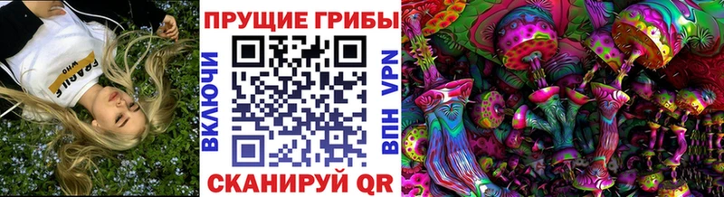 Галлюциногенные грибы Magic Shrooms  Благодарный 
